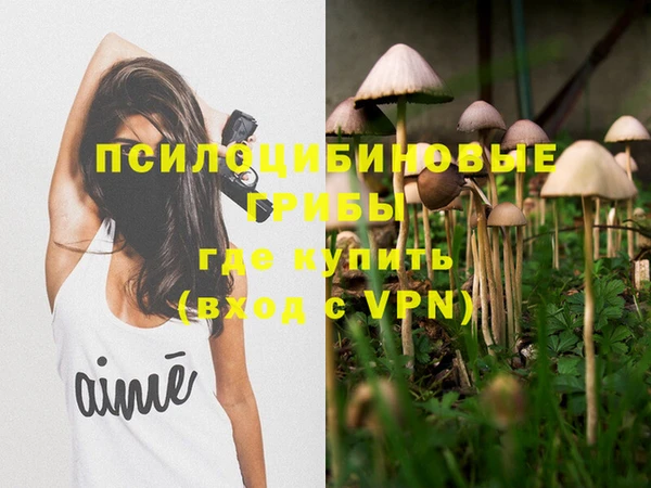 таблы Сясьстрой