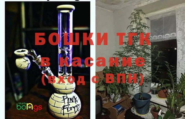 дурь Тайга