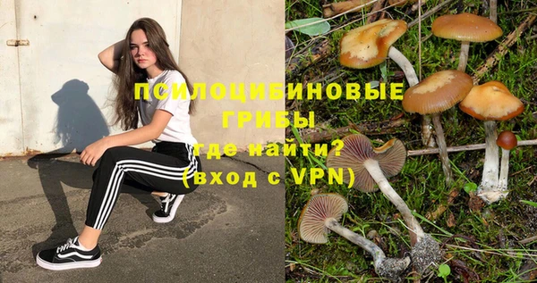 прущая мука Тавда