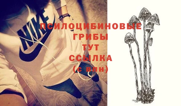 прущая мука Тавда