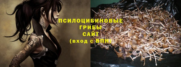 дурь Тайга