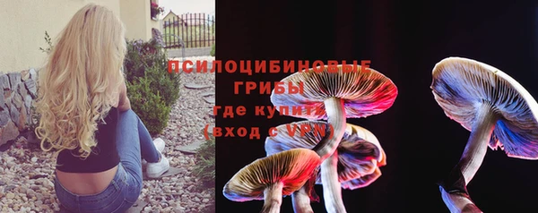 дурь Тайга