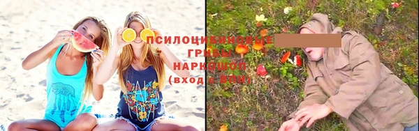 дурь Тайга