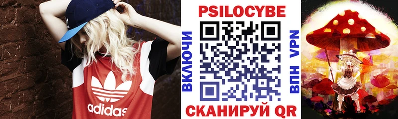 omg ТОР  Удачный  Галлюциногенные грибы прущие грибы  купить наркотик 